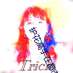 護花高手在都市