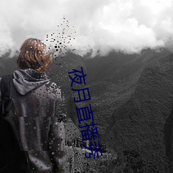 夜月直播秀