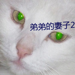 弟弟的妻子2