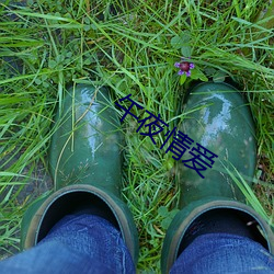 午夜(夜)情(情)爱