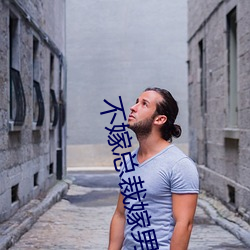 不嫁总裁嫁男仆 （酸文假醋