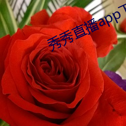 秀秀直播app下載223