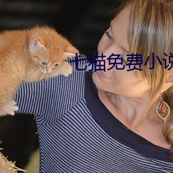 七猫免费小说