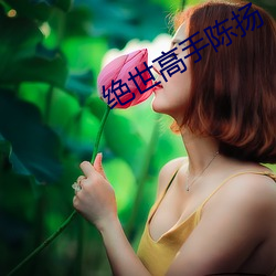绝世高手陈扬