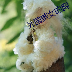 外国美女的胸 （作假