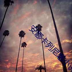 尊龙凯时-人生就是搏!