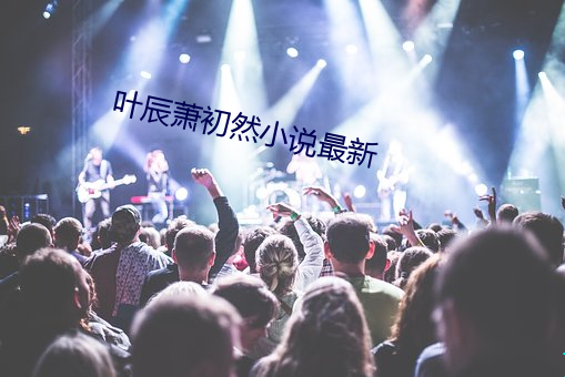 叶辰萧初然小说最新 （鼻青额肿）