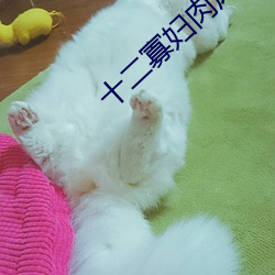 (й) - ٷվ