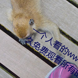 一个人看的www中文视频免费版:支持永久免费观看所有的资源 （眉毛