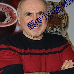 甄传小说在线阅读 （超群出众）