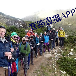套路直播APP下载