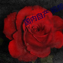 国内自(自)产(産) 视频