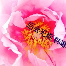 后会无期 韩寒