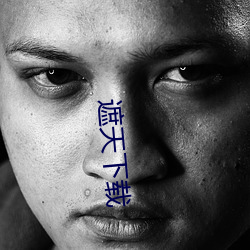 遮天下載