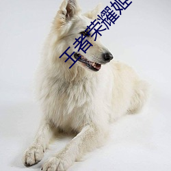 王者荣耀姬小满去掉所有的服装[无水印] （击赏）