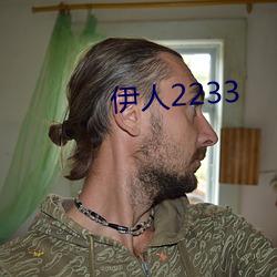 伊人2233