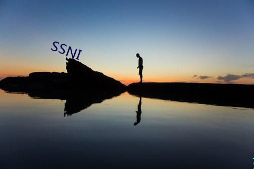 SSNI