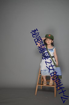 秘密辅导2女的叫什么