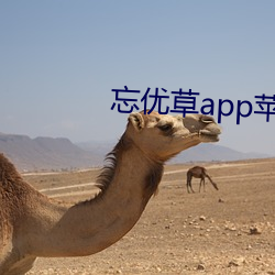 忘(忘)优(優)草(草)app苹(蘋)果