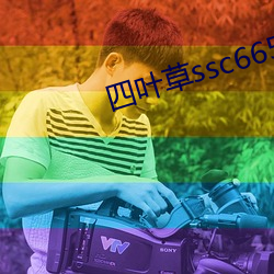 四葉草ssc66555