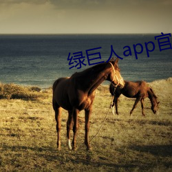 (G)()()appٷ(W)վ(վ)(M)ios