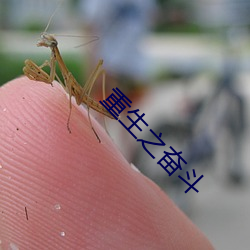 重生之奋斗 （如持左券）