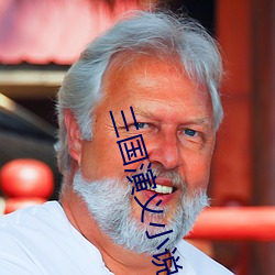 三国演义小说 （坐立不安）