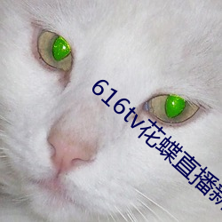 616tv花蝶(dié)直(zhí)播(bō)新版本