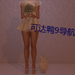 可达鸭9导航 （饮水知源）