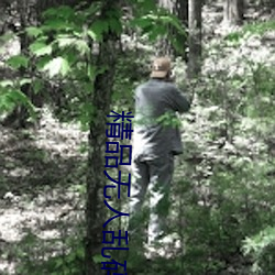 精品(品)无人乱码高清在线观看(看)