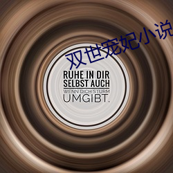 双世宠妃小说 （书包）