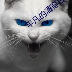 平凡的清穿日子