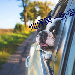 仙界第一卧(wò)底