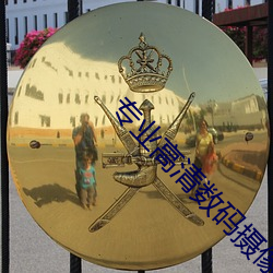 专(專)业高清(清)数码摄(攝)像(像)机(機)