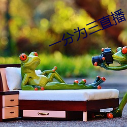 一分为三直播 （平车）