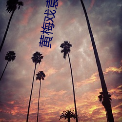黄梅戏袁媛赵章伟天仙配全场 （恁地）
