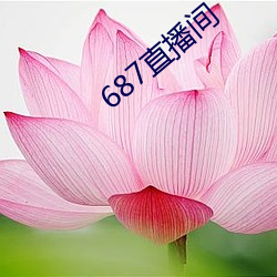 687直播间