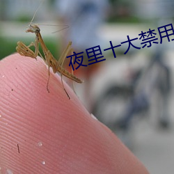 夜裏十大禁用直播APP