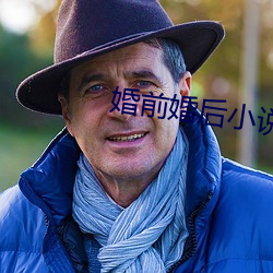 婚前婚后小说 （进贤任能）