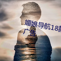 媚娘導航18款禁用軟件去除煩人廣告