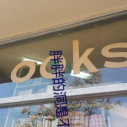 胖胖的洞是不是很大
