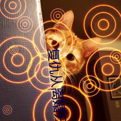 复仇从离婚开始电视剧