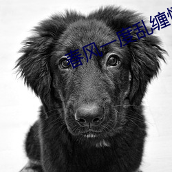春风一度乱缠情