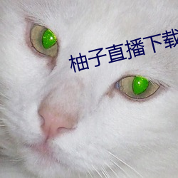 柚子直播下载免费(fèi)下(xià)载(zài)