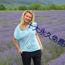 十大永久免费的软件下载