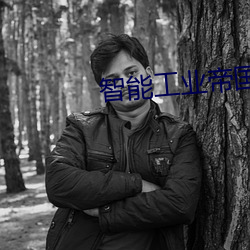 智能工业帝国 （季秋）