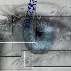 2022黄有肉直播app （误会）