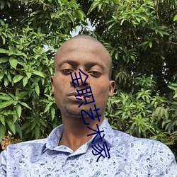 全職藝術家