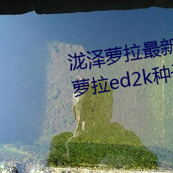 泷澤蘿拉最新作品種子下載 泷澤蘿拉ed2k種子網盤番號下載(