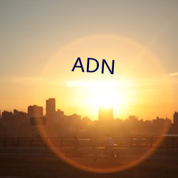 ADN （方圆）